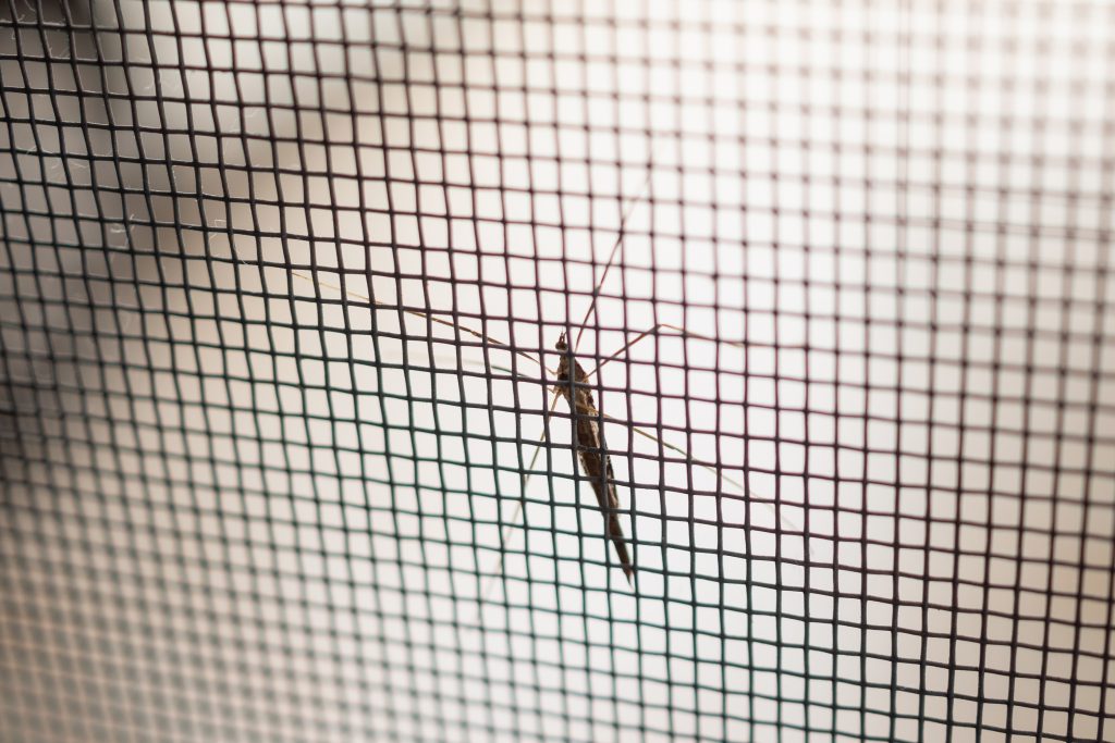 Częstochowa moskitiery drzwiowe